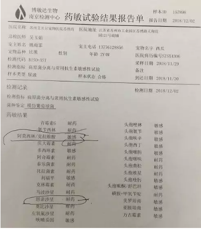 企业微信截图_15562609377104